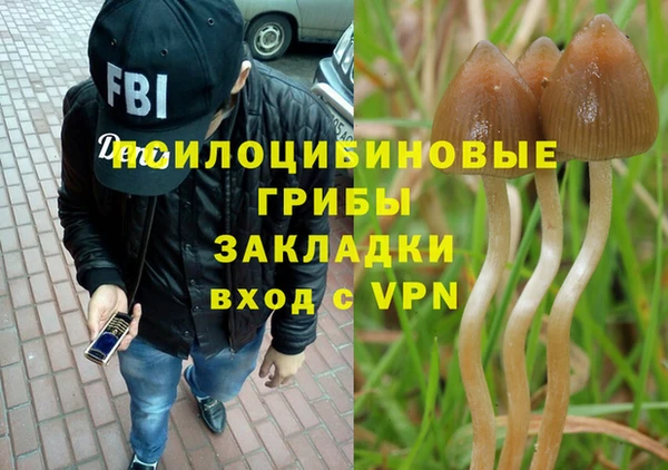 первитин Беломорск