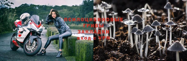 ECSTASY Белоозёрский