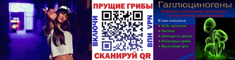 Купить где  Бодайбо  Псилоцибиновые грибы MAGIC MUSHROOMS 